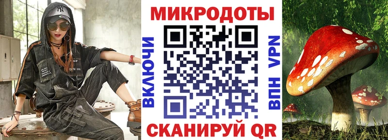 хочу   Бугуруслан  это как зайти  Галлюциногенные грибы MAGIC MUSHROOMS 