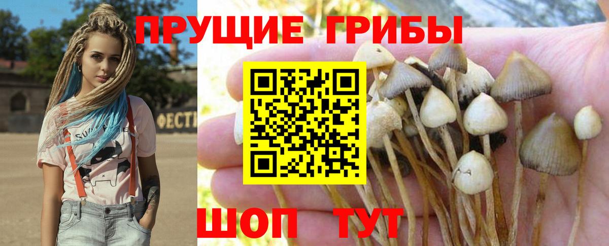 Псилоцибиновые грибы ЛСД  что такое наркотик  Бугуруслан  Вход с VPN 