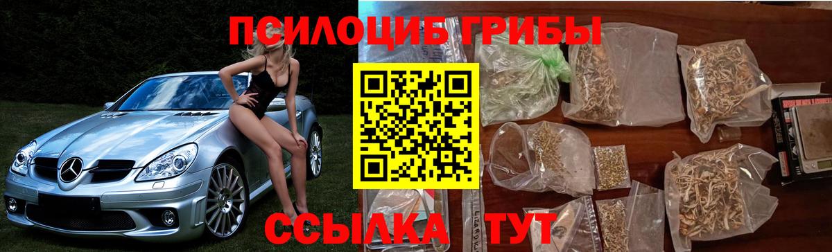 Псилоцибиновые грибы Cubensis Бугуруслан